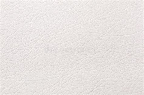 Light Beige Leather Texture Print As Background Stock Photo Image Of
