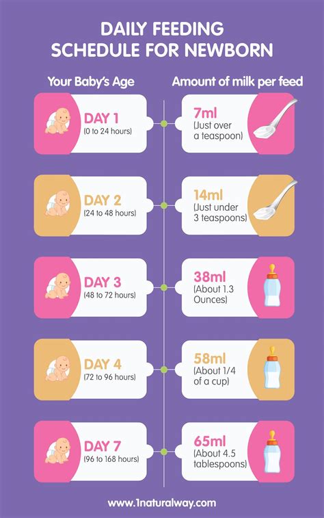 Breastfeeding Timeline Know What To Expect 1 Natural Way