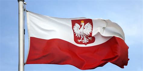 Flaga Polski Infografika Wiadomo Ci
