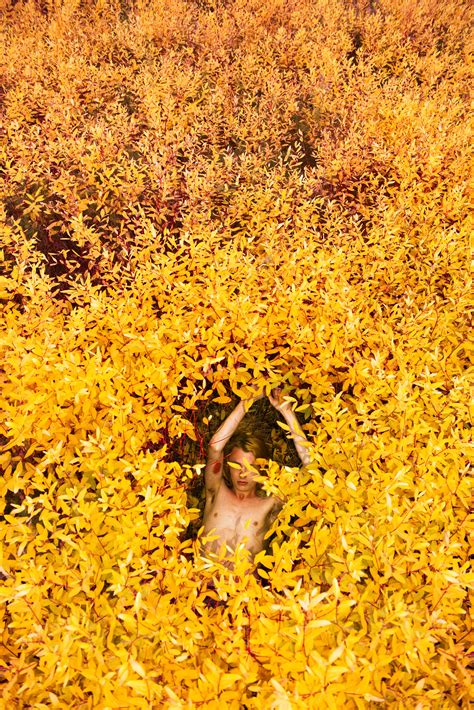 an interview with ryan mcginley american suburb x