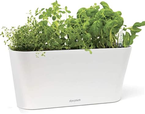 Self Watering Herb Garden Tub Best Herb Planters Popsugar Home Photo 8