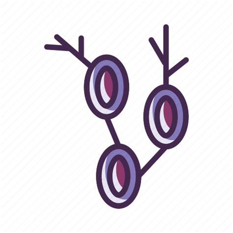 Cell Cells Lymph Lymph Node Lymph Nodes Nodes Icon Download On