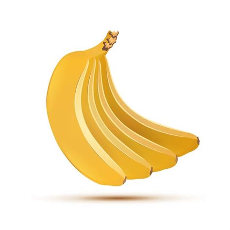 Premium Vector Vector Illustration Of Fresh Bananas