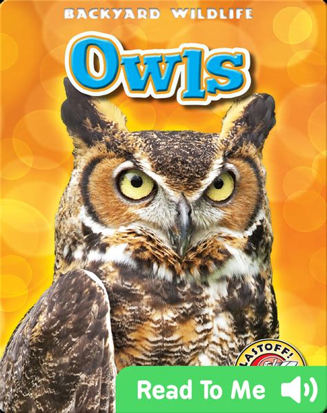 Owls Backyard Wildlife Book By Kari Schuetz Epic