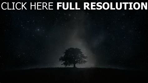 Hd Hintergrundbilder Landschaft Baum Dunkel Sterne Himmel Desktop