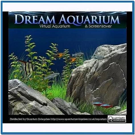 Dream Aquarium Screensaver In Hd For Pc Download Screensaversbiz