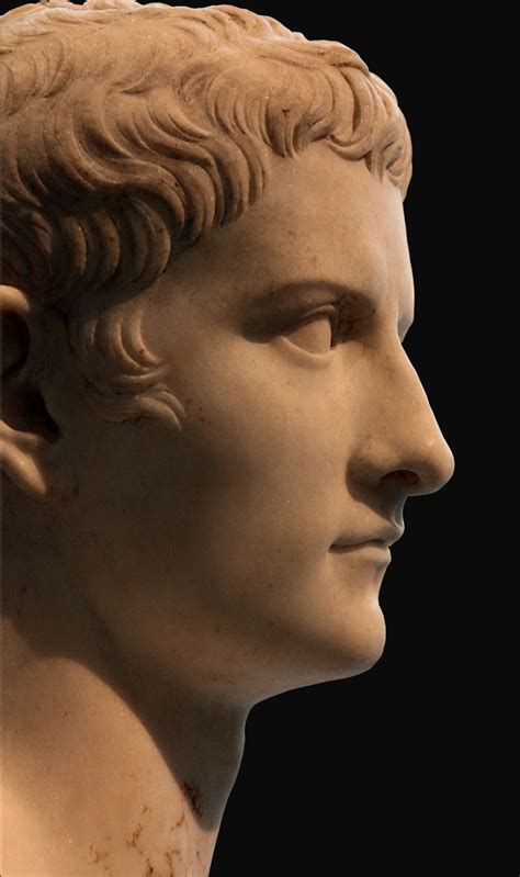 Bust Of Caligula New York Metropolitan Museum Of Art