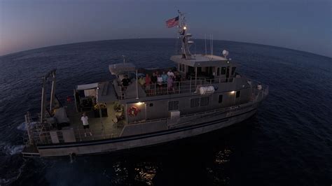 Notes From The Field Diving At The Flower Garden Banks Coral Reef