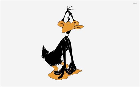 Sad And Surprised Daffy Duck Wallpaper Cartoon Wallpapers 48621