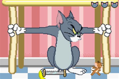 Tom And Jerry Games Qlerodead