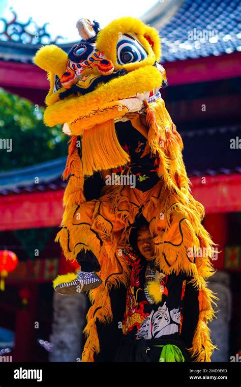 The Lion Dance Or Barongsai In Chinese New Year 2023 Semarang