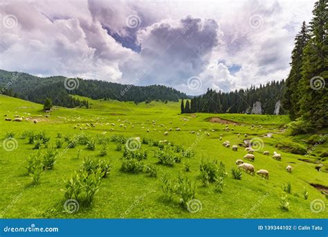 Beautiful Mountain Scenery In Spring And Lush Green Foliage In The