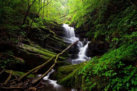 Deep Forest Waterfall Stock Image Colourbox