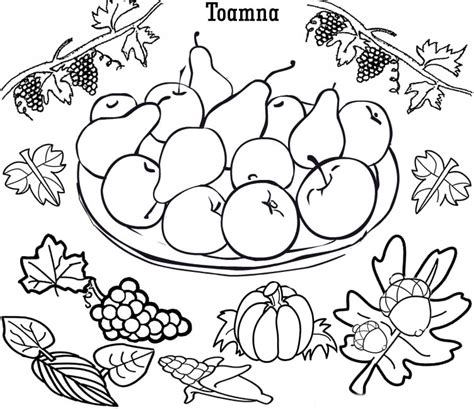 Desene De Colorat Cu Fructe Si Legume De Toamna Desene De Colorat