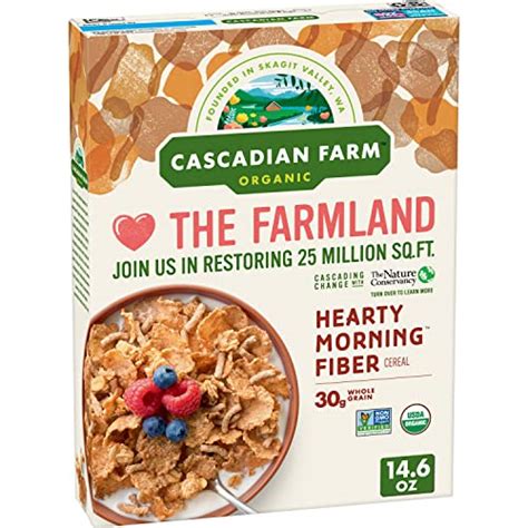 The 10 Best High Fiber Cereal Reviews