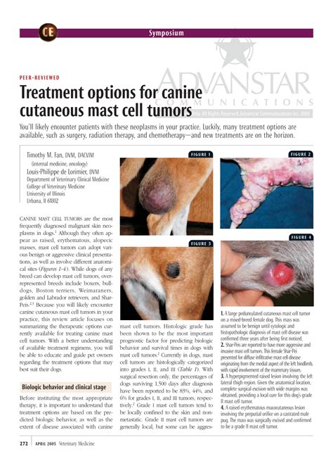 Pdf Treatment Options For Canine Cutaneous Mast Cell Tumors