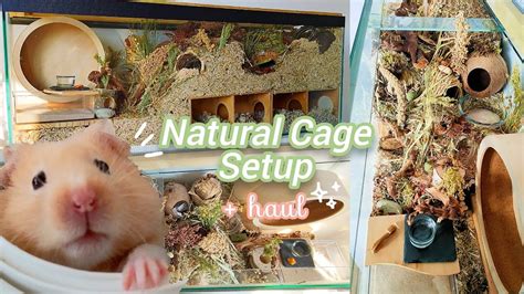 Upgrading Hamsters Natural Cage Setup German Inspired Enclosure
