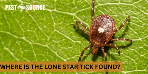 Where Is The Lone Star Tick Found Pest Source