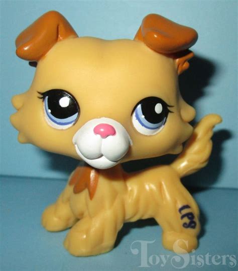 Pin By Aislin On Lps Collie Checklist Lps Collies Littlest Pet Shop