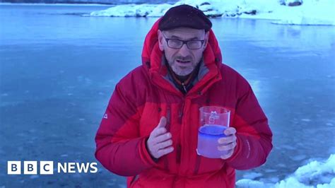 How Warmer Waters Threaten Arctic Ocean Life Bbc News
