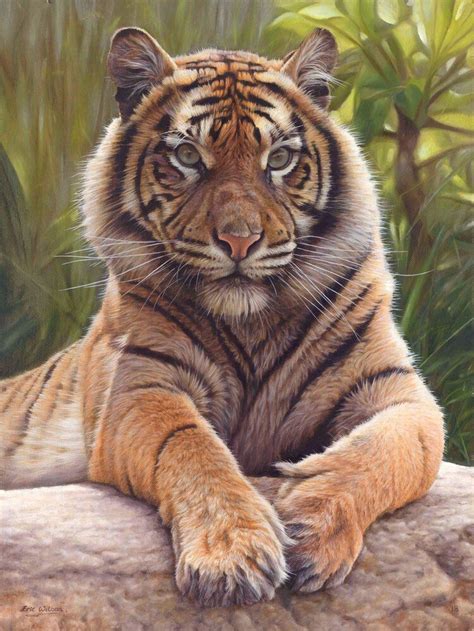 Sumatran Tiger Oil On Linen Original Sold Tiger Painting Tiger