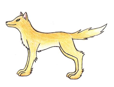 Golden Wolf By Spaghetti Legs96 On Deviantart