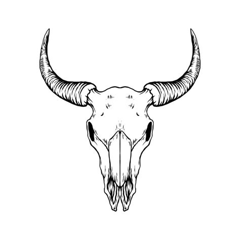 Bull Skull Vector Art 13509178 Vector Art At Vecteezy
