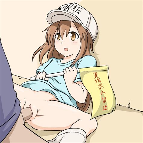 Platelet Hataraku Saibou Hataraku Saibou Artist Request Decensored