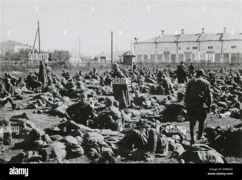 soviet prisoners of war in a camp at potschuz ussr captured during operation barbarossa 1941