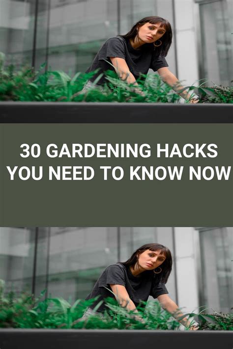 30 gardening hacks you need to know now in 2023 gardening tips hacks need to know