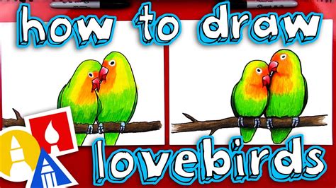 How To Draw Lovebirds Youtube