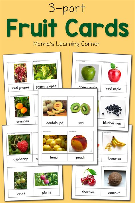 fruit  part cards mamas learning corner
