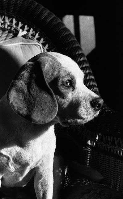 We did not find results for: Super High Contrast Black and White Images · Lomography