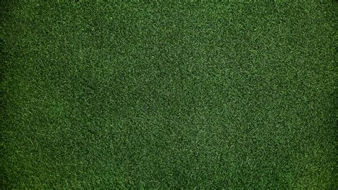 1920x1080 Grass Background Laptop Full Hd 1080p Hd 4k Wallpapers