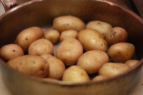 The yukon gold brand has been online since 2004 and offers a wide range of casino. Yukon Gold Potatoes | These Yukon Gold potatoes are palm-siz… | Flickr