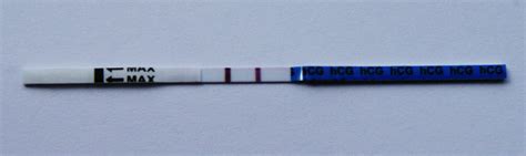 10 X Pregnancy Test Strip Ultra Early 10miu Sensitive Ebay