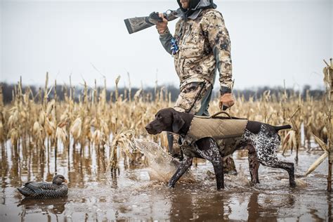 The Best Duck Hunting Dogs 2022