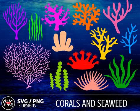 Coral Svg Bundle Seaweed Svg Png Sea Life Svg Under The Etsy Canada