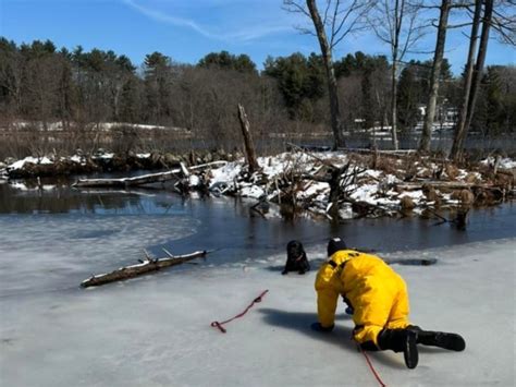 Firefighters Rescue Dog Who Fell Through Thin Ice In Weston Weston