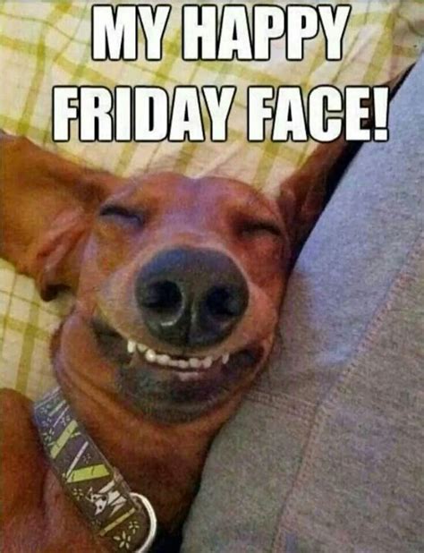 Loving The Friday Feeling Love My Dog Puppy Love Friday Quotes Funny