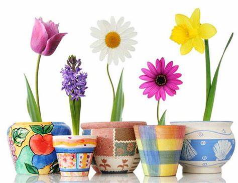 Дюкан диета блюда Наггетсы ( диета Дюкан) - Страница 6 : Вторые блюда Наггетсы ( диета Дюкан) - Страница 6 : Вторые блюда Дюкан диета блюда