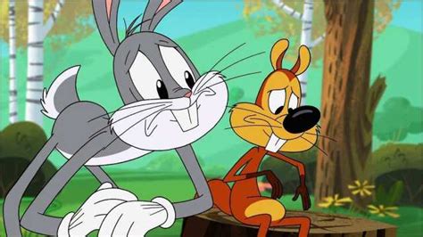 Die Neue Looney Tunes Show Den Nüssen Zuliebe Die Hasenpfote Der