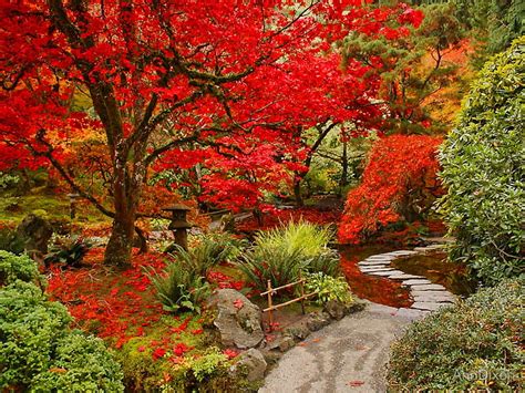 1920x1080px 1080p Free Download Colorful Garden Colorful Red Trees