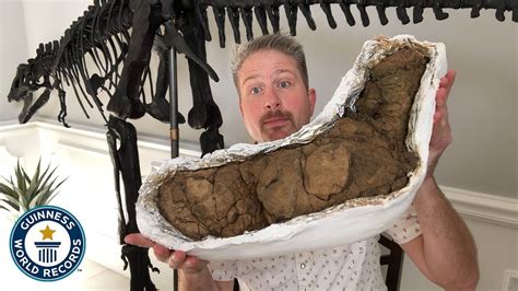 Largest Dinosaur Poop Guinness World Records Rpoop