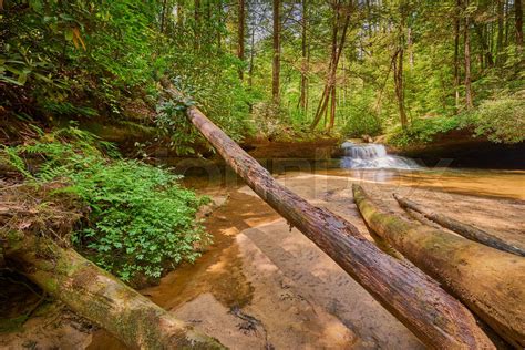 Creation Falls Red River Gorge Ky Stock Image Colourbox