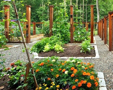 Apr 29, 2021 · native to australia, the flowers come in a variety of sizes with the largest reaching about 15 feet tall. Vegetable Garden Design Ideas Australia Excellent Raised ...