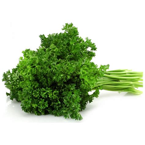 Curly parsley bunch - Distribution Bo-Fruits inc.
