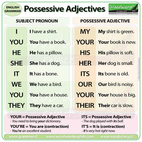 Possessive Adjectives Woodward English