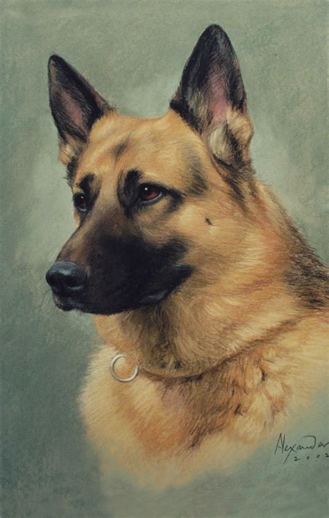 German Shepherd Dog Painting At Explore Collection