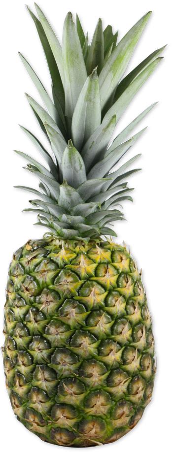 Pineapple Ng